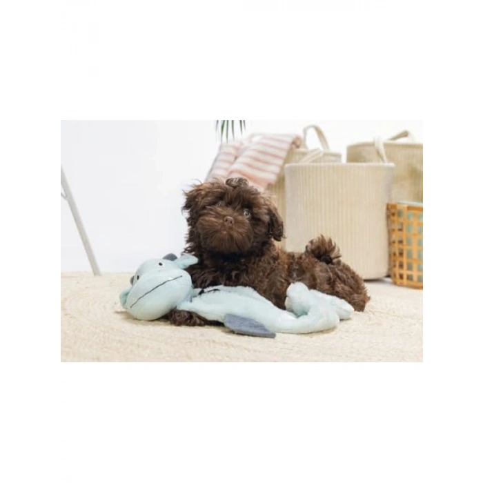 Gri Peluş Yavru Köpek Oyuncağı, Dragon Model, 70x16x10 cm