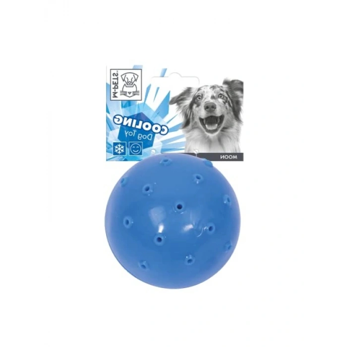 Güvenli ve Toksik Olmayan Köpek Oyuncağı