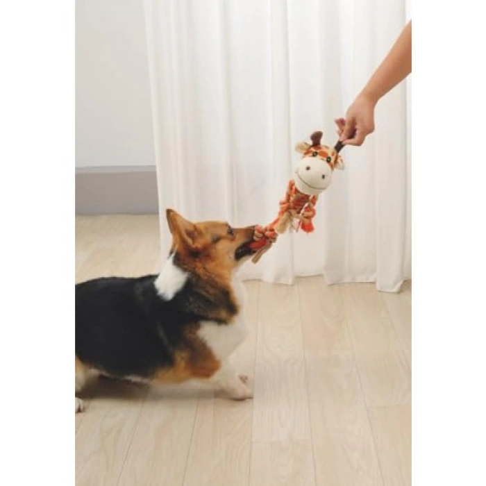 Güvenli ve Toksik Olmayan Köpek Oyuncağı