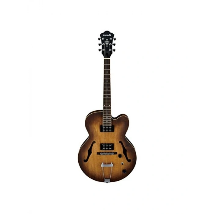 Hallow Body Elektro Gitar