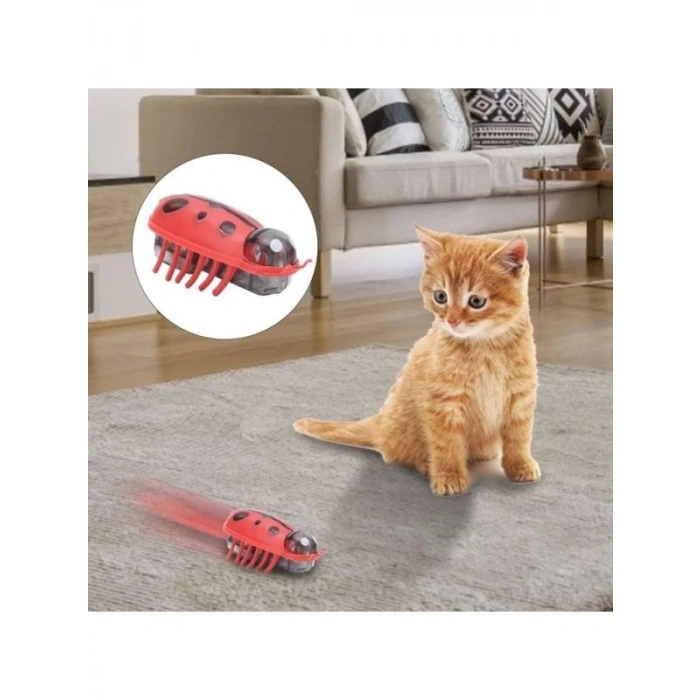 Hareketli Uğur Böceği Şeklinde Kedi Oyuncağı