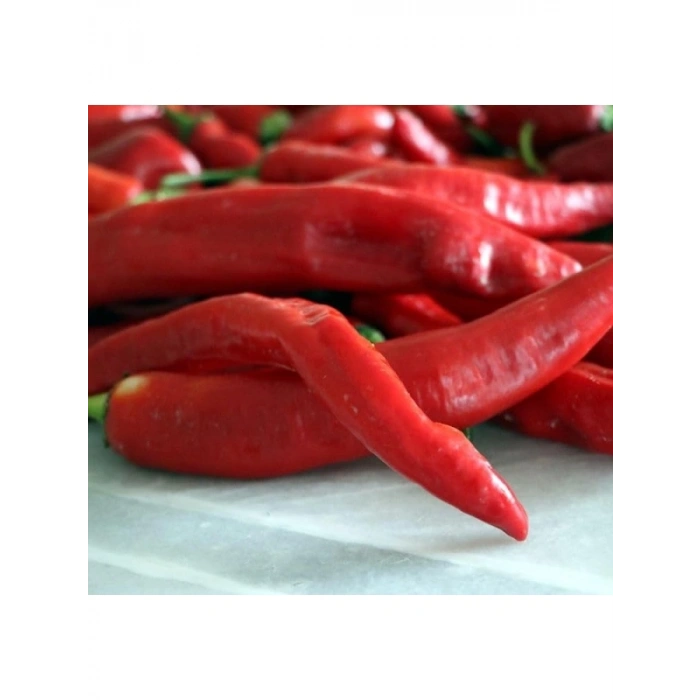 Hatay Acı Biber Tohumu - 5 Gram