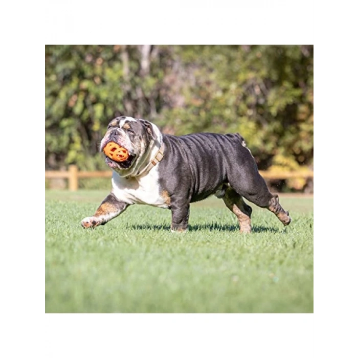 Hava Akışını Kolaylaştıran Futbol Köpek Oyuncağı, Turuncu