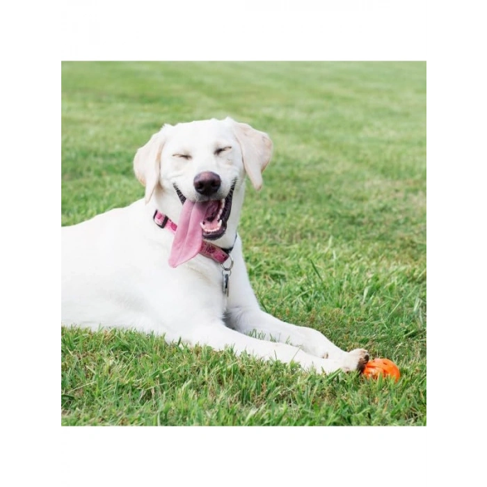Hava Sirkülasyonu Sağlayan Büyük Köpek Topu, 9 cm