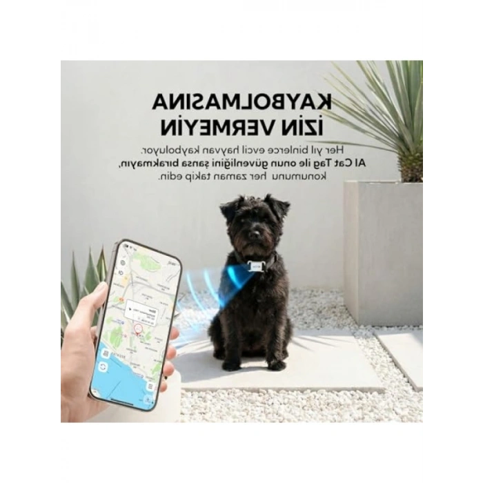 Hayvan Takip Cihazı ve Tasma, IOS & Android Uyumlu