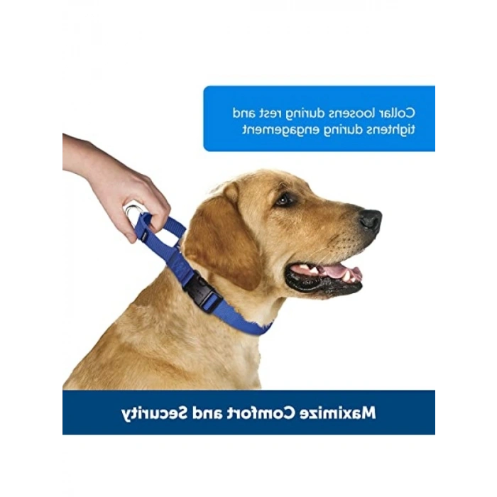 Hızlı Kopçalı Martingale Yaka, Kırmızı, Orta Boy