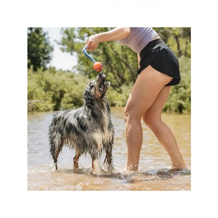 İki Köpek İçin Ultra Dayanıklı Çekiştirme Topu (6,5 cm)