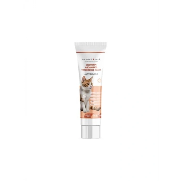 İmmün Sistem Destekleyici Kedi Vitamin Takviyesi 100 ml