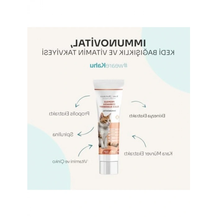 İmmün Sistem Destekleyici Kedi Vitamin Takviyesi 100 ml