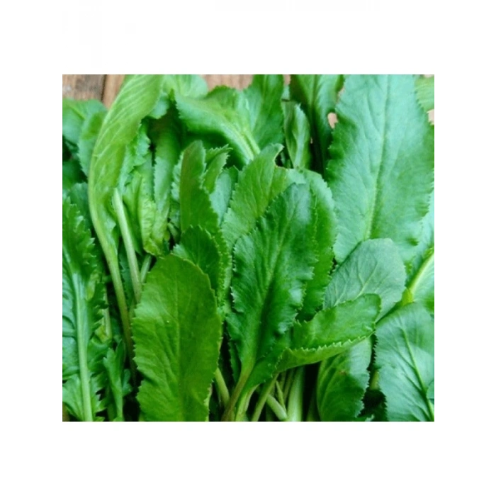 İnce Tere Tohumu - 10 Gram