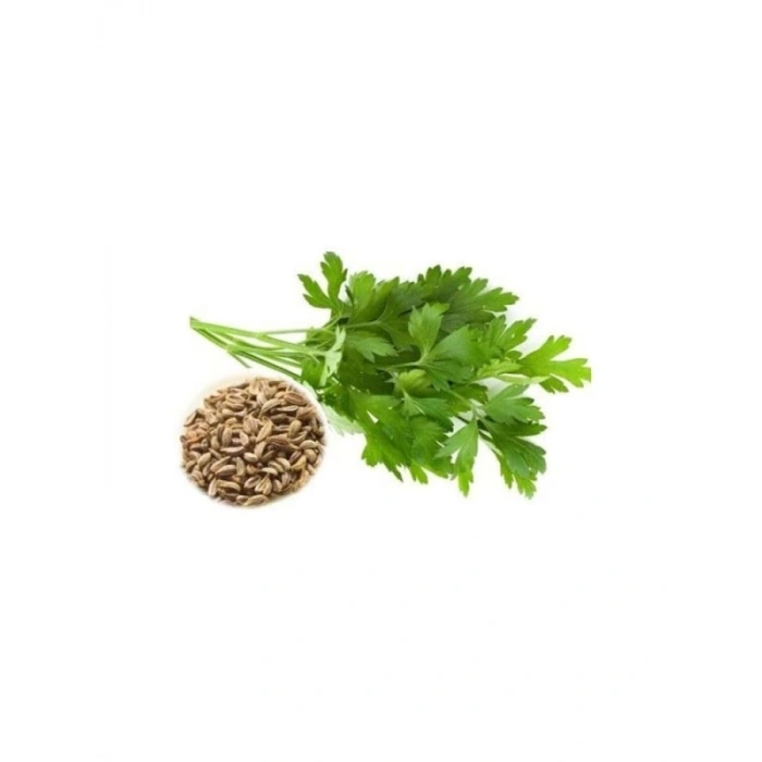 İri Yaprak Maydanoz Tohumu - 10 Gram