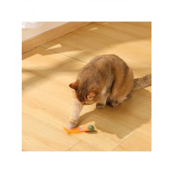 Işıldayan Firefly Catnipli Kedi Oyuncağı - Portakal Renk
