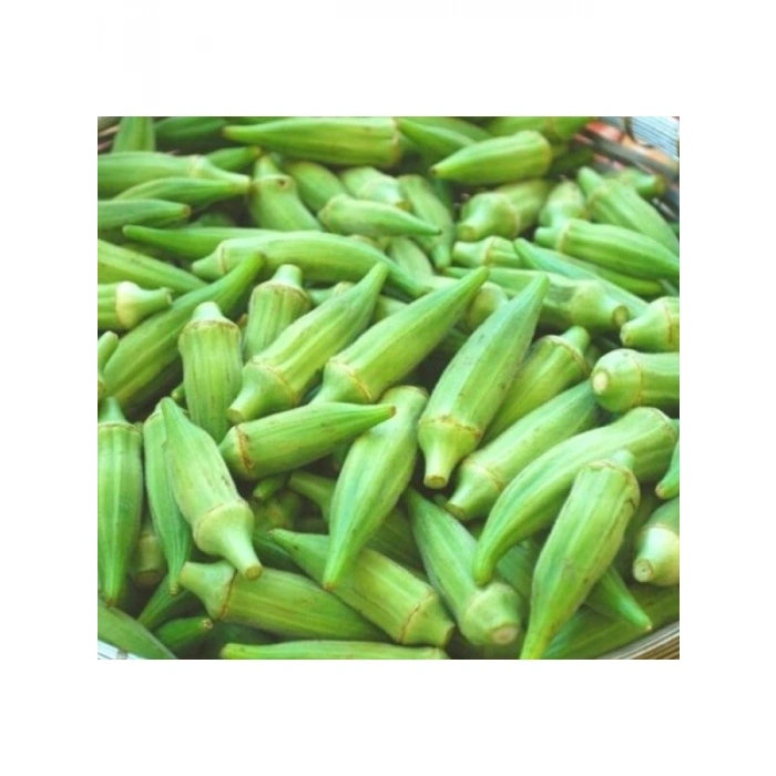 Japon Bamya Tohumu - 10 Gram