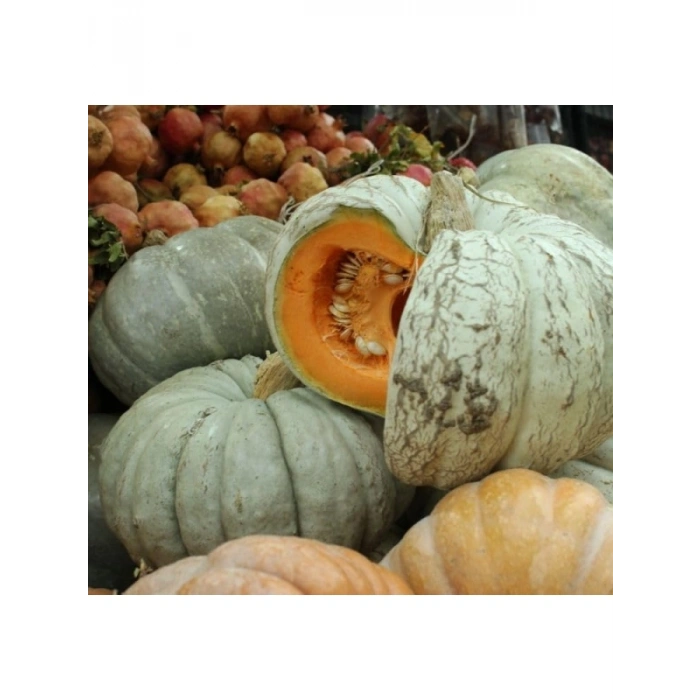 Kabak Bal Tohumu - 10 Gram