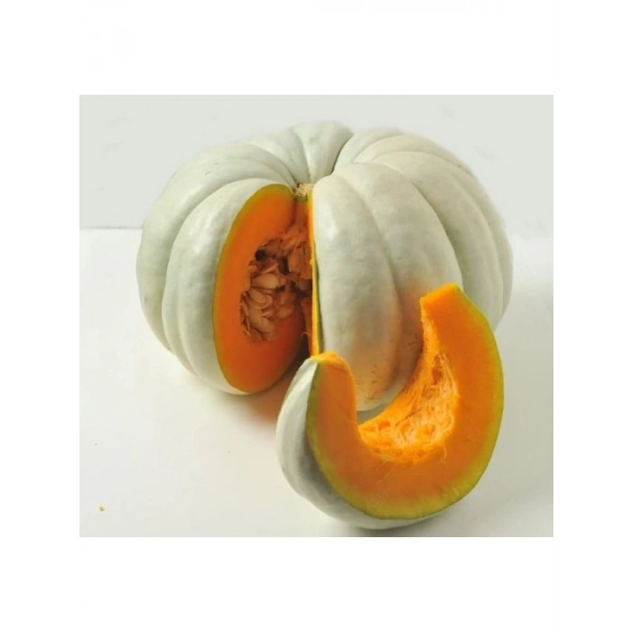 Kabak Bal Tohumu - 10 Gram