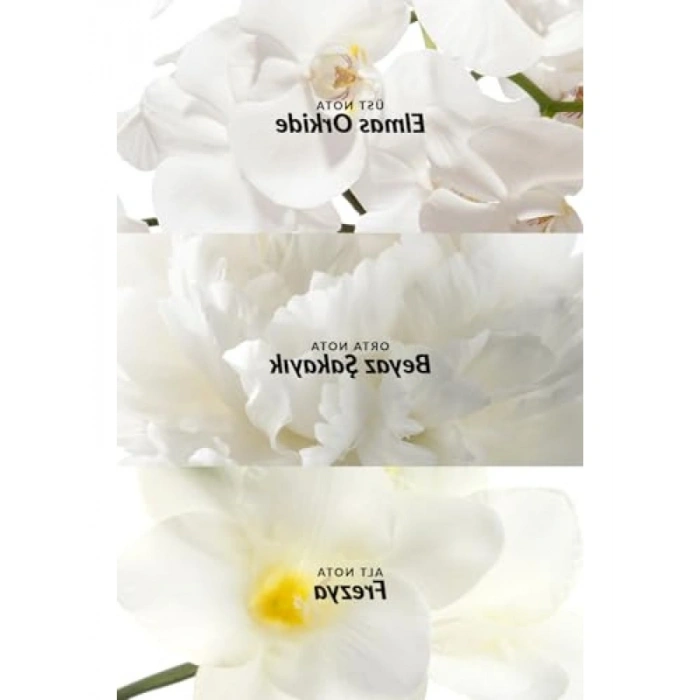 Kadın Parfümü - 30 ML EDP