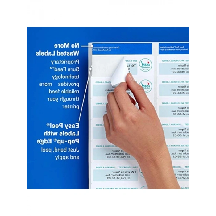 Kalıcı Yapıştırıcı Etiketler - 2,54 cm x 10,16 cm, 500 Adet