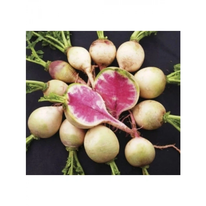 Kaliteli Kırmızı Beyaz Turp Tohumu - 5 Gram