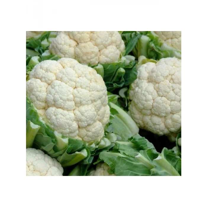 Karnabahar Tohumu (Çoklu) - 5 Gram