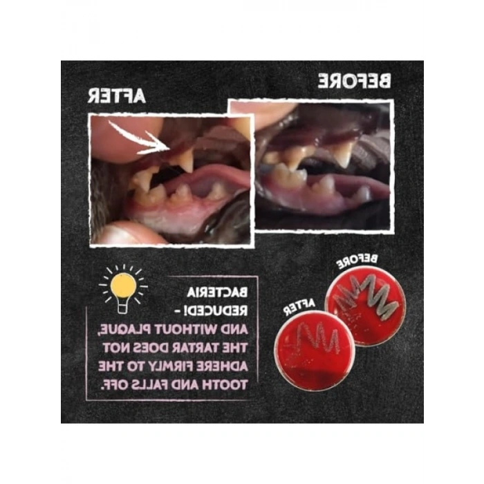 Kedi Diş Bakım Pulları | Antibakteriyel Peynir