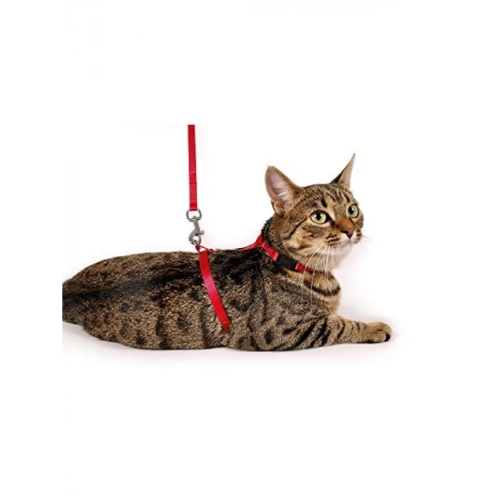 Kedi için 110 cm Uzatma ve Göğüs Tasma, Kırmızı