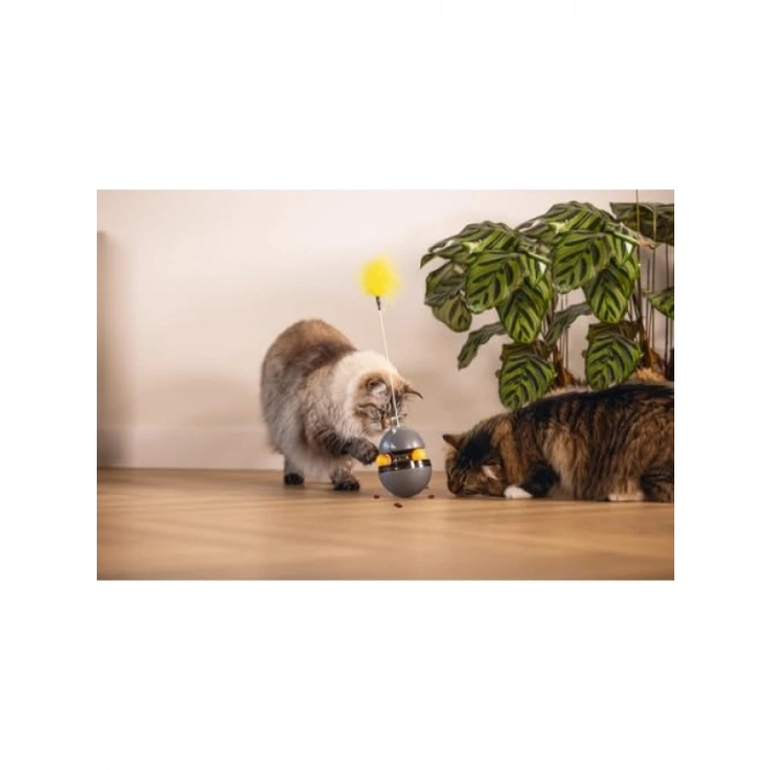 Kedi Oyuncağı, Hacıyatmaz Tasarım, Uçucu Tüy ve Top
