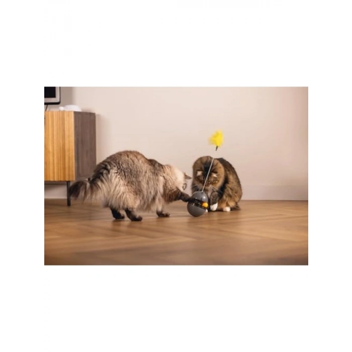 Kedi Oyuncağı, Hacıyatmaz Tasarım, Uçucu Tüy ve Top