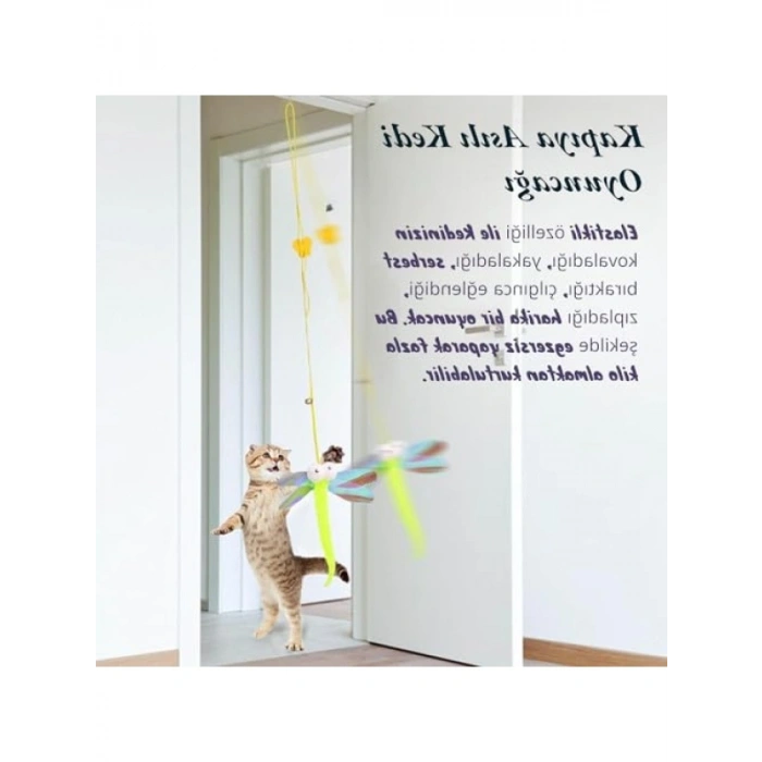 Kendinden Yapışkanlı Renkli Kedi Oyun Oltası, Ayarlanabilir Elastik İp