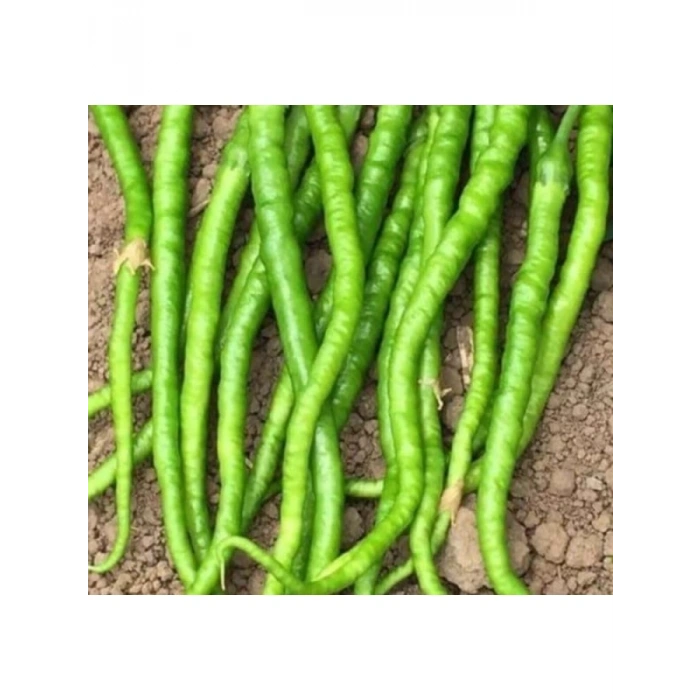 Kıl Tatlı Biber Tohumu - Çoklu Seçenek - 5 Gram
