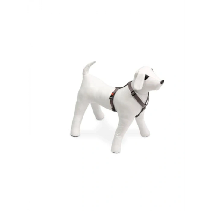 Kilitli Göğüs Tasma, XS, 25-40 cm, Gri Renk