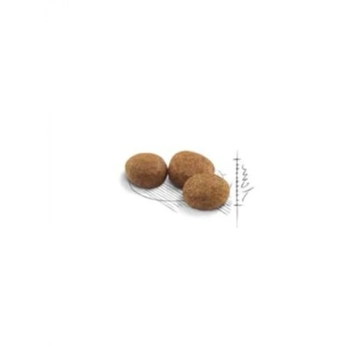 Kısırlaştırılmış Kediler İçin Kuru Mama (4 Kg)