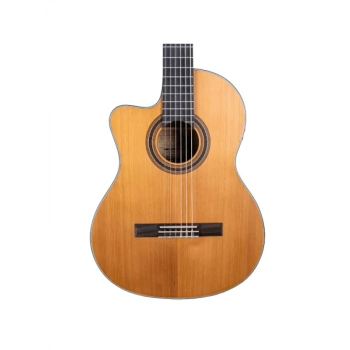 Klasik Gitar Eklentisi - Reguis CEQ Elk.