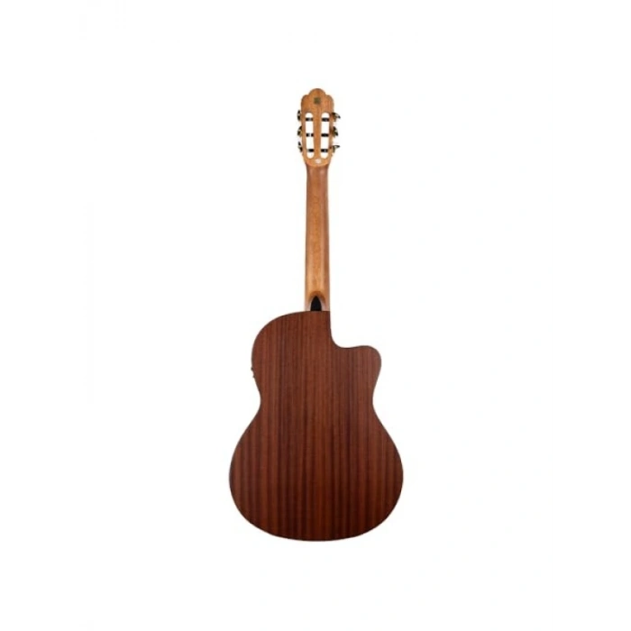 Klasik Gitar Eklentisi - Reguis CEQ Elk.