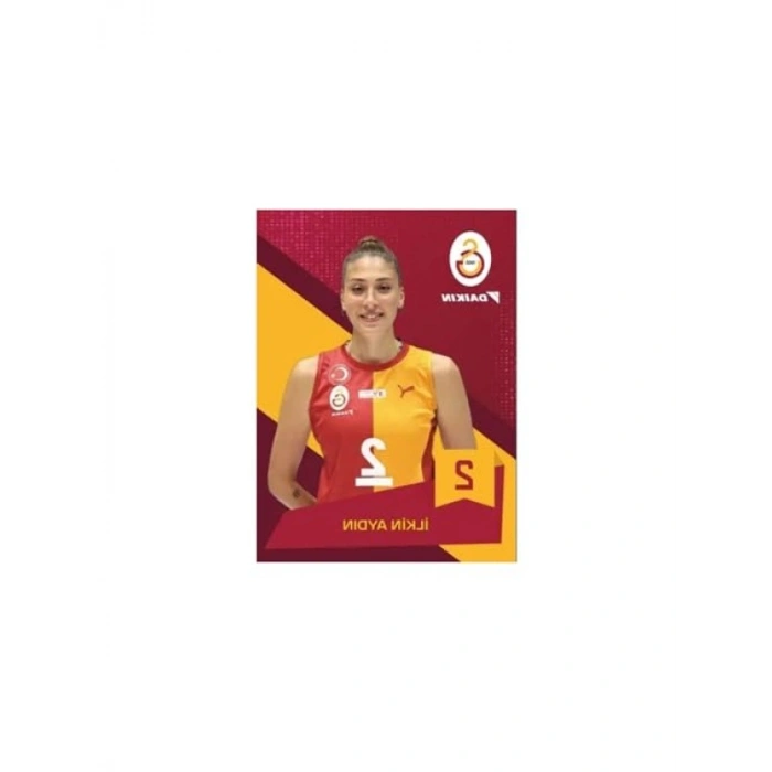 Koleksiyonluk Voleybol Kart Serisi