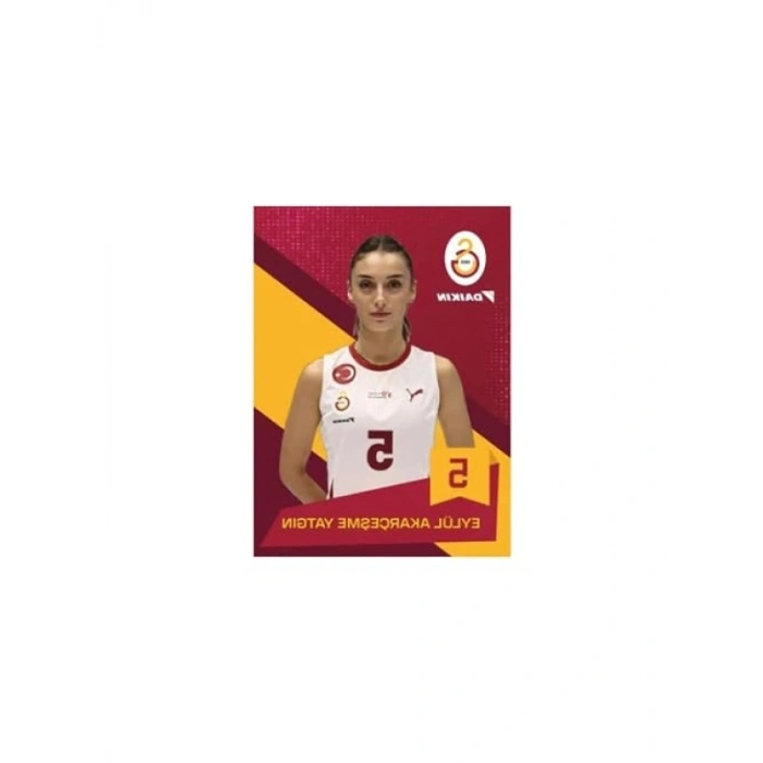 Koleksiyonluk Voleybol Kart Serisi