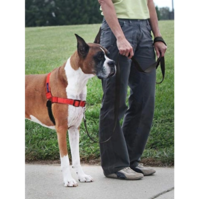 Konforlu ve Güvenli Köpek Koşum Takımı