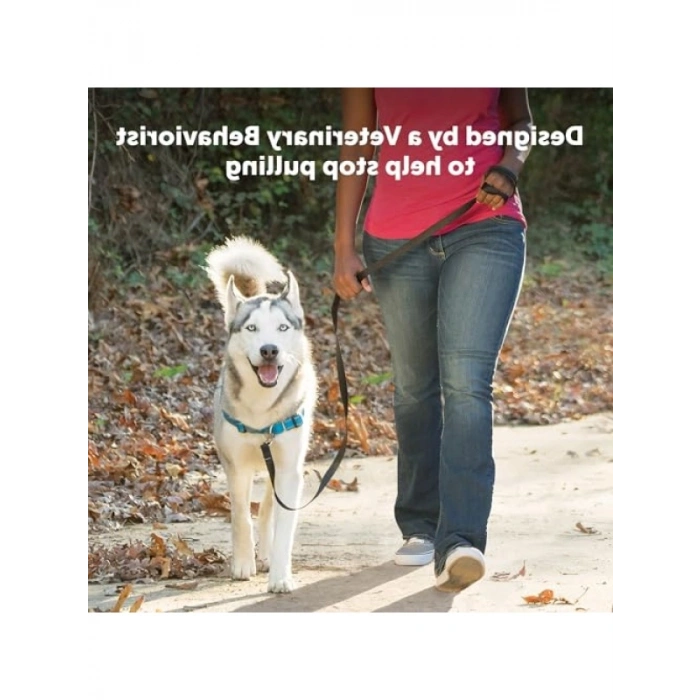 Konforlu ve Güvenli Köpek Koşum Takımı