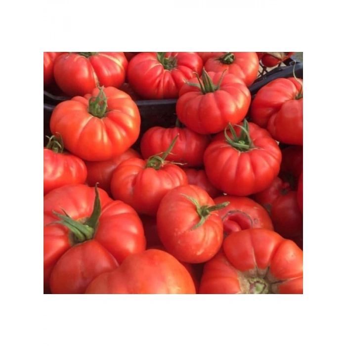 Köy Domates Tohumu - Yüksek Verimli - 3 Gram