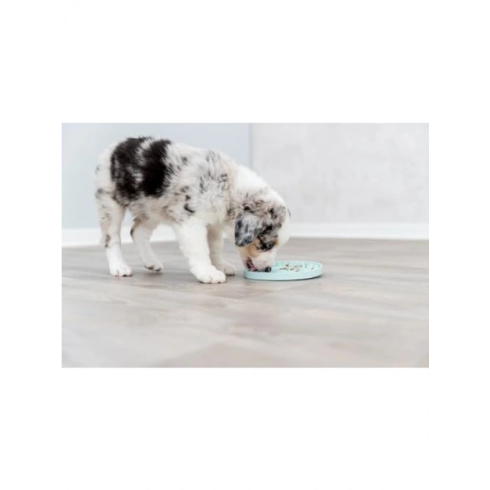 Küçük ve Orta Boy Köpekler İçin Sabitlenebilir Yala Matı 8-12 cm x 13 cm