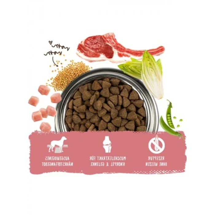 Kuzu Etli Yetişkin Köpek Maması 3 Kg