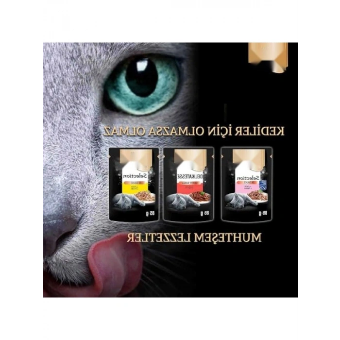 Lezzetli Somonlu Yaş Kedi Maması 85 g (3 Paket)