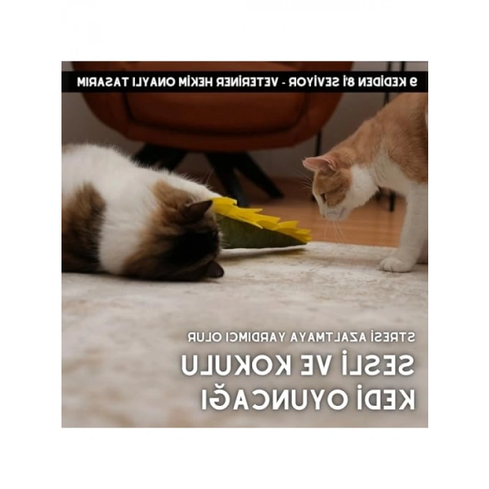 Matatabi Dıno Kedi Oyuncağı, 40x12 cm, Sesli ve Kokulu