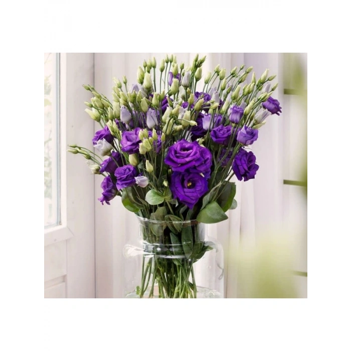 Mavi Renkli Katmerli Bodur Lisianthus Çiçeği Tohumu - 5 Tohum