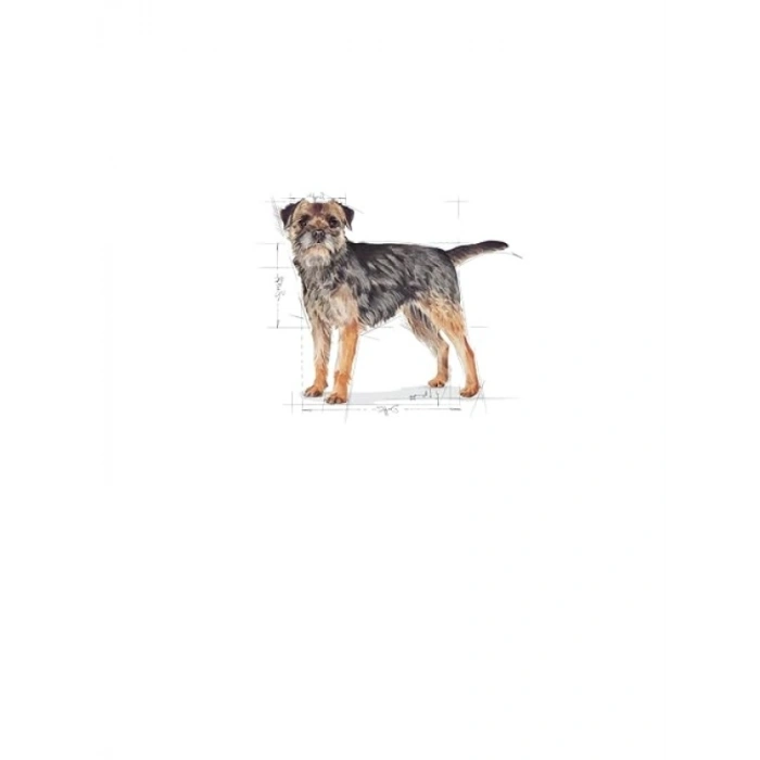 Mini Kısırlaştırılmış Köpek Maması, 3 kg