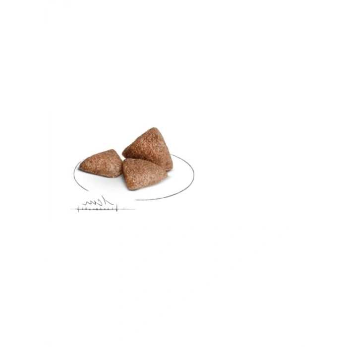 Mini Yetişkin Köpek Maması, 1.5 kg