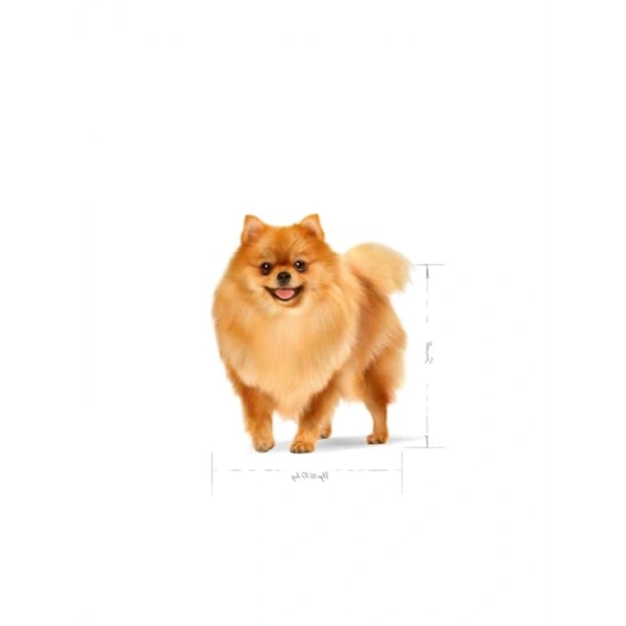 Mini Yetişkin Köpek Maması, 1.5 kg