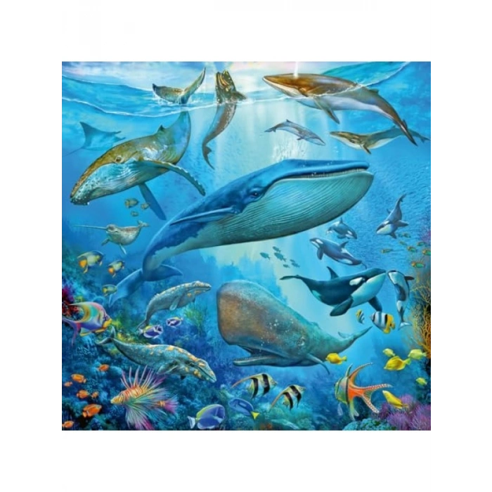 Okyanus Hayvanları Temalı 3x49 Parçalı Puzzle