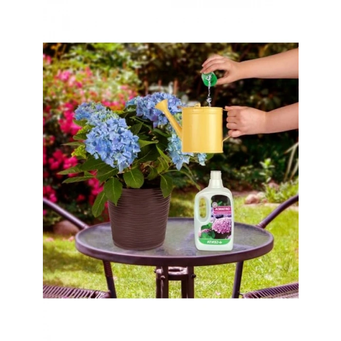 Ortancalar ve Açelyalar İçin Sıvı Besin Gübre, 500 ml