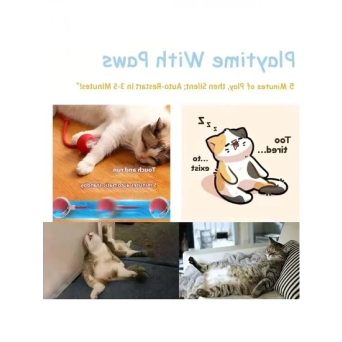 Otomatik Kuyruklu Kedi Oyuncağı, LED Işıklı ve USB Şarjlı