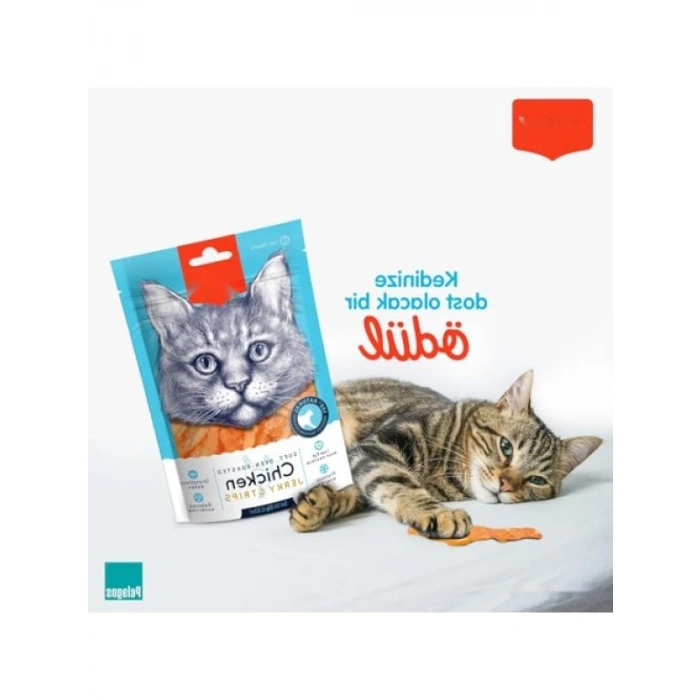 Oven Roasted Tavuklu Yumuşak Kedi Ödülü 80 g